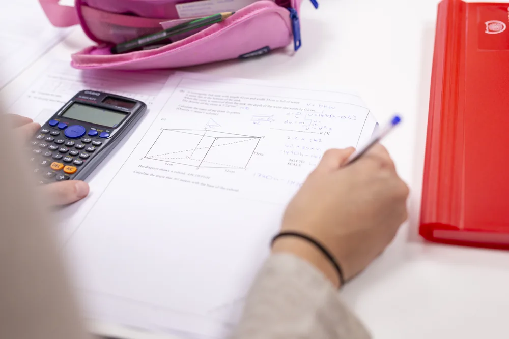 A student preparing for exams with a mentor